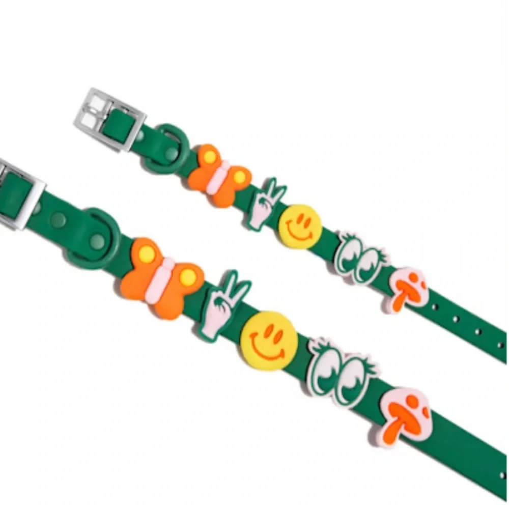 Wild One Leash & Collar Flair charms XS/S Mini